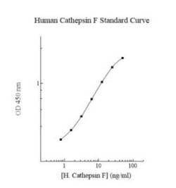 Novus Biologicals&trade;&nbsp;Human Cathepsin F ELISA Kit (Colorimetric)